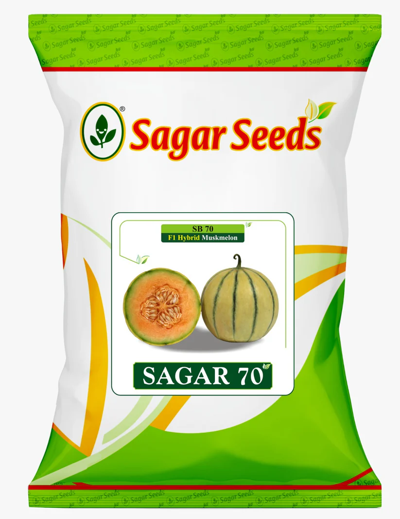 WhatsAppImage2025-06-27at5.44.43PM_3