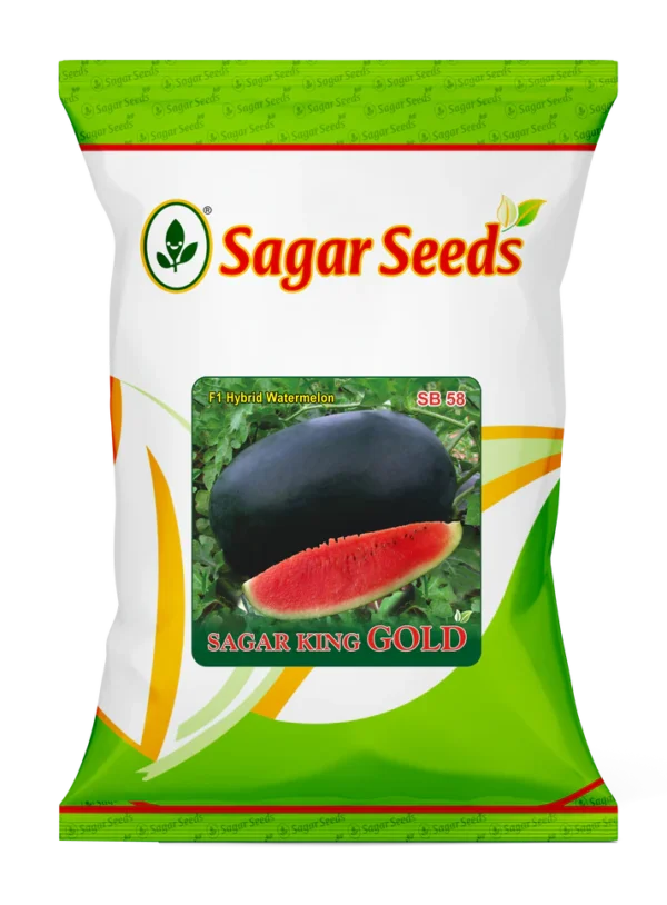 SAGAR KING GOLD