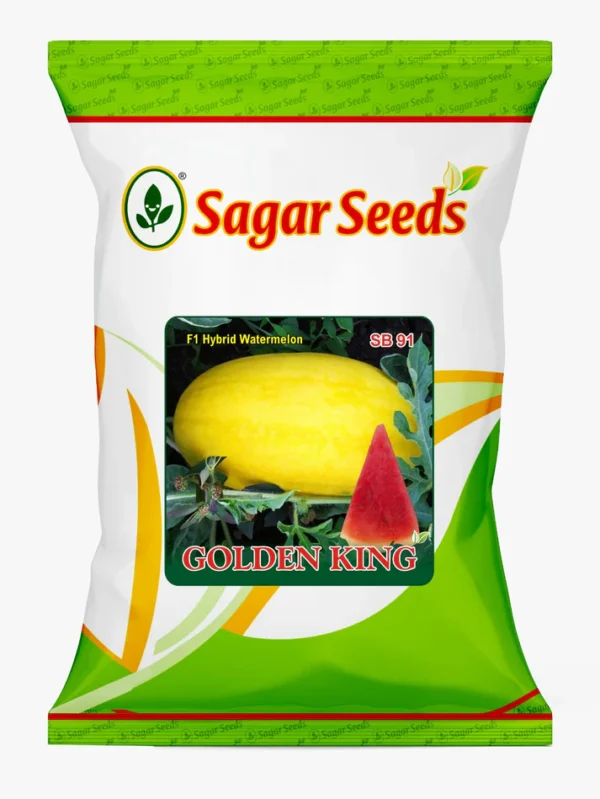 GOLDEN KING (YELLOW)